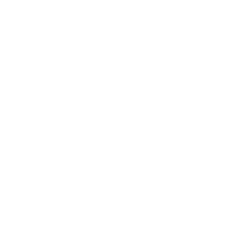 irt ai